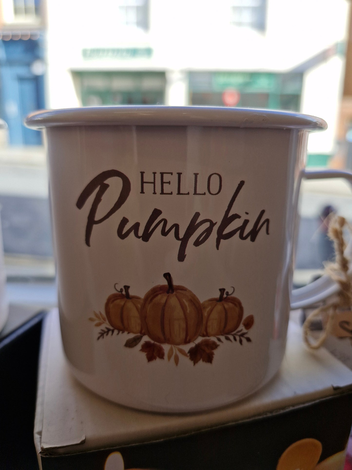 Pumpkin Spice & Everything Nice Enamel Mug